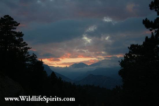 Click Picture to send as an  E-PostCard 56k 550x367